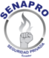 SENAPRO 3